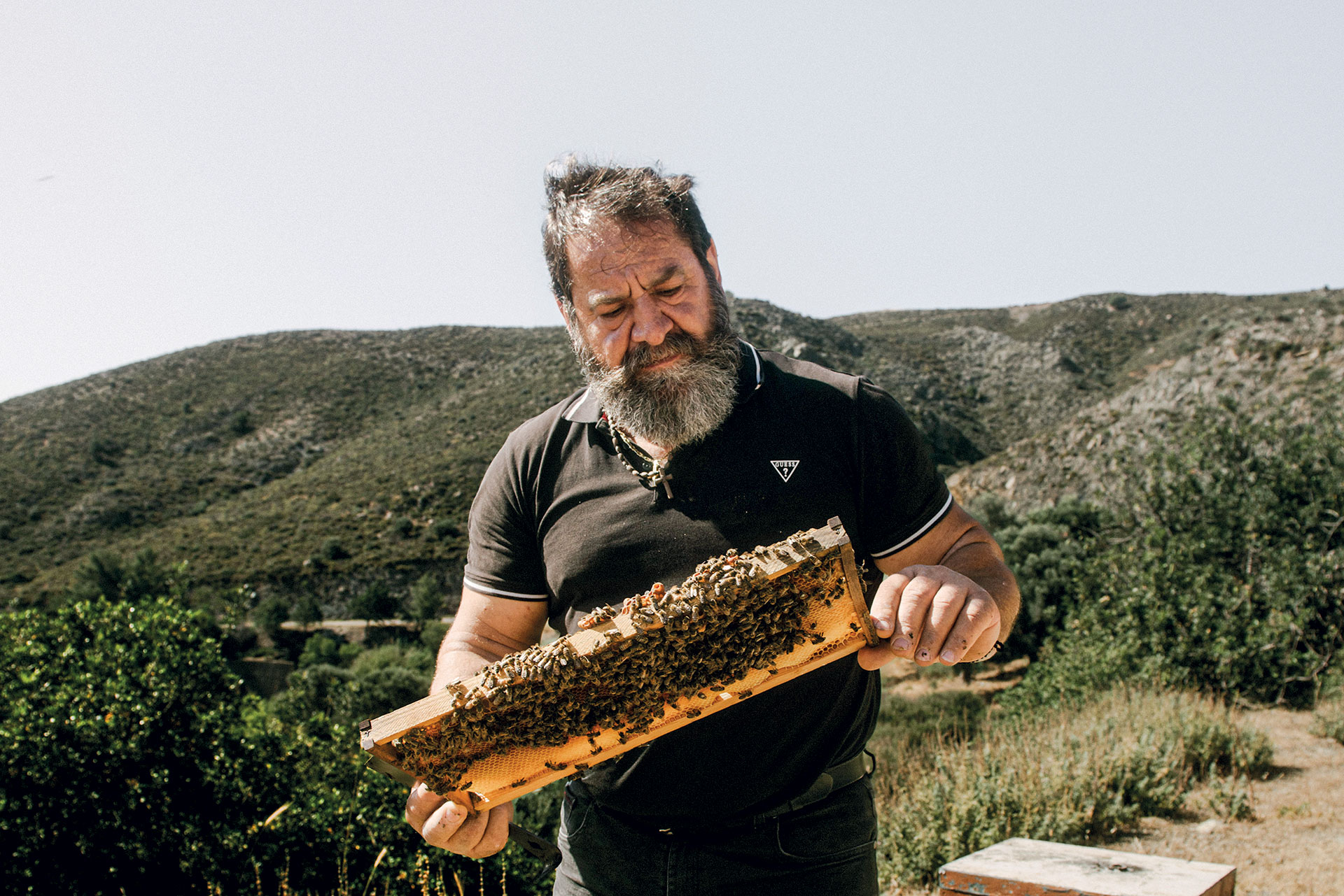 Μία μέρα δίπλα στους μελισσοκόμους της Κρήτης-3