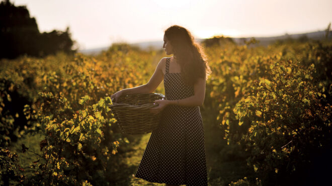 γιατί-η-μεσσηνία-δεν-έπαψε-ποτέ-να-είνα-563098504
