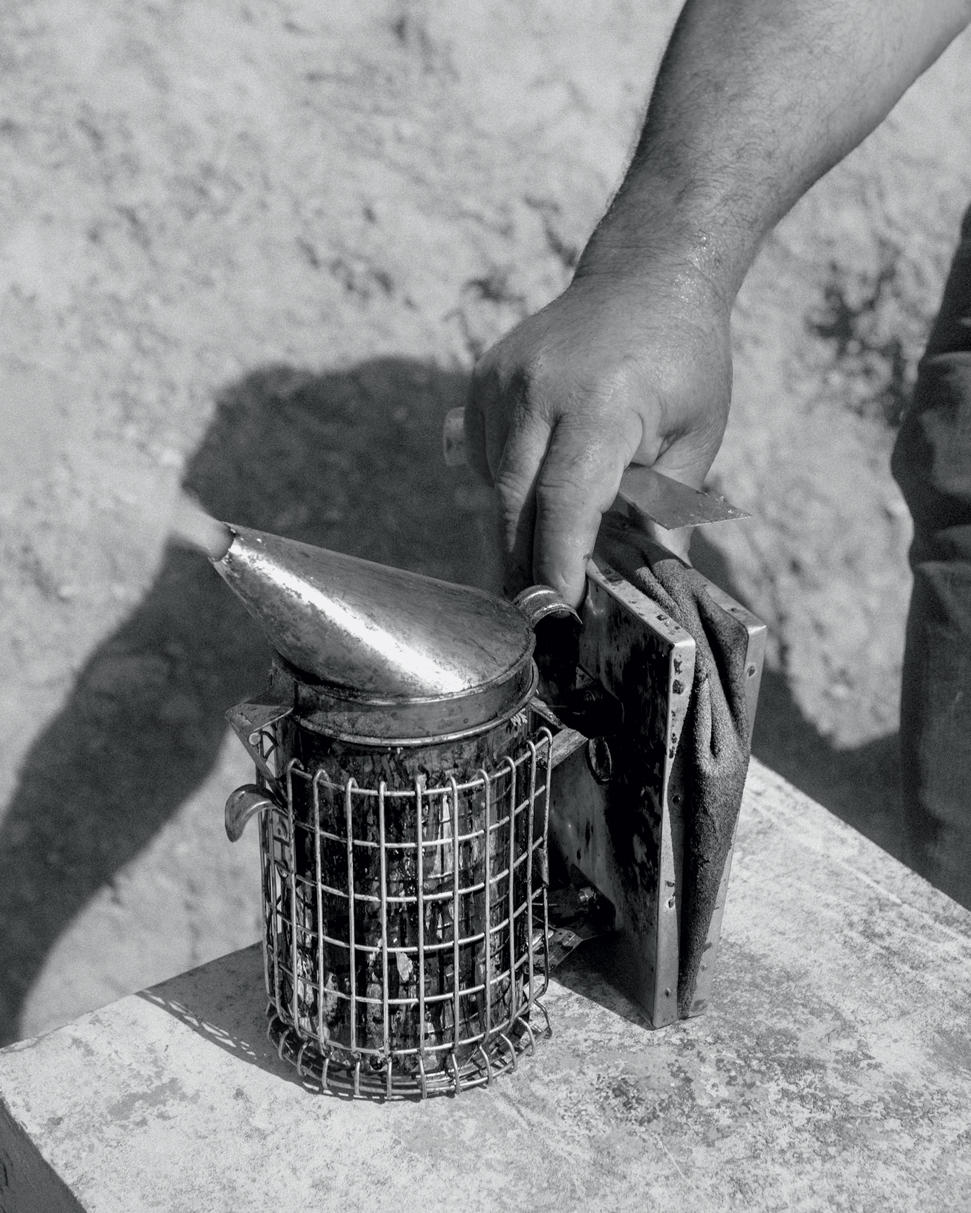 Μία μέρα δίπλα στους μελισσοκόμους της Κρήτης-5