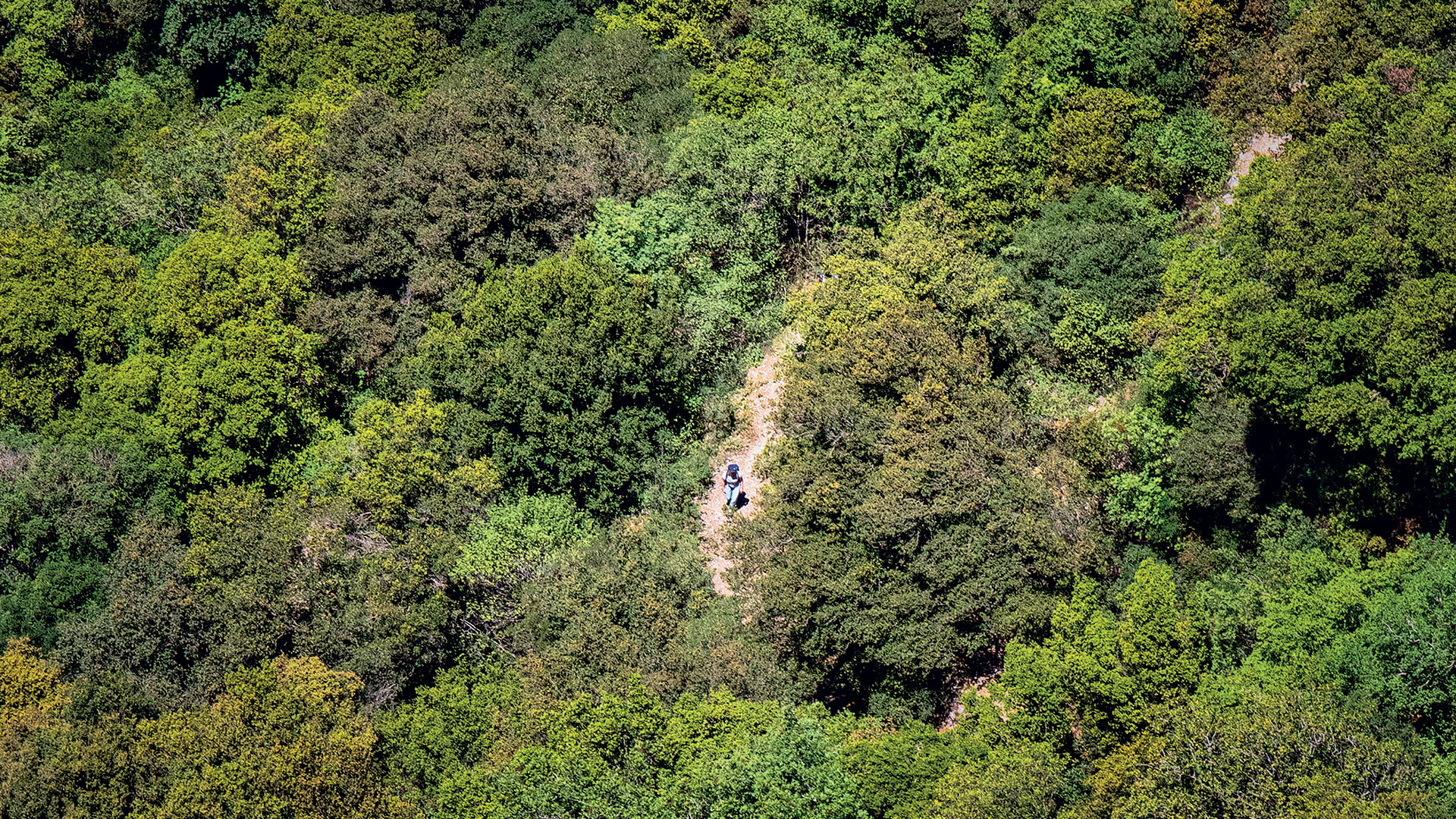 Στη Στεμνίτσα, σε ένα δίκτυο μονοπατιών διεθνών προδιαγραφών-8