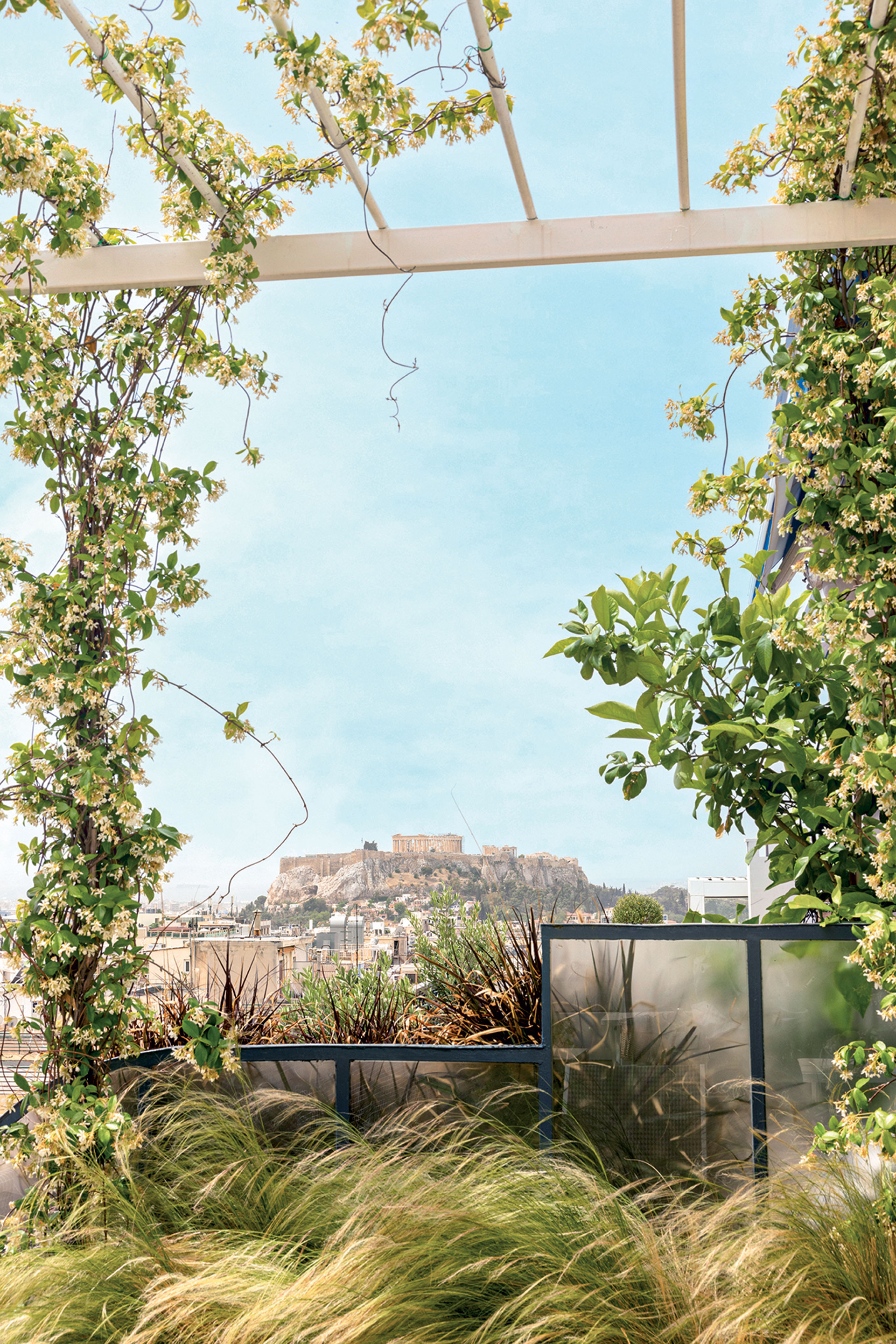 Ενα εντυπωσιακό ρετιρέ γεμάτο τέχνη στο Κολωνάκι-2