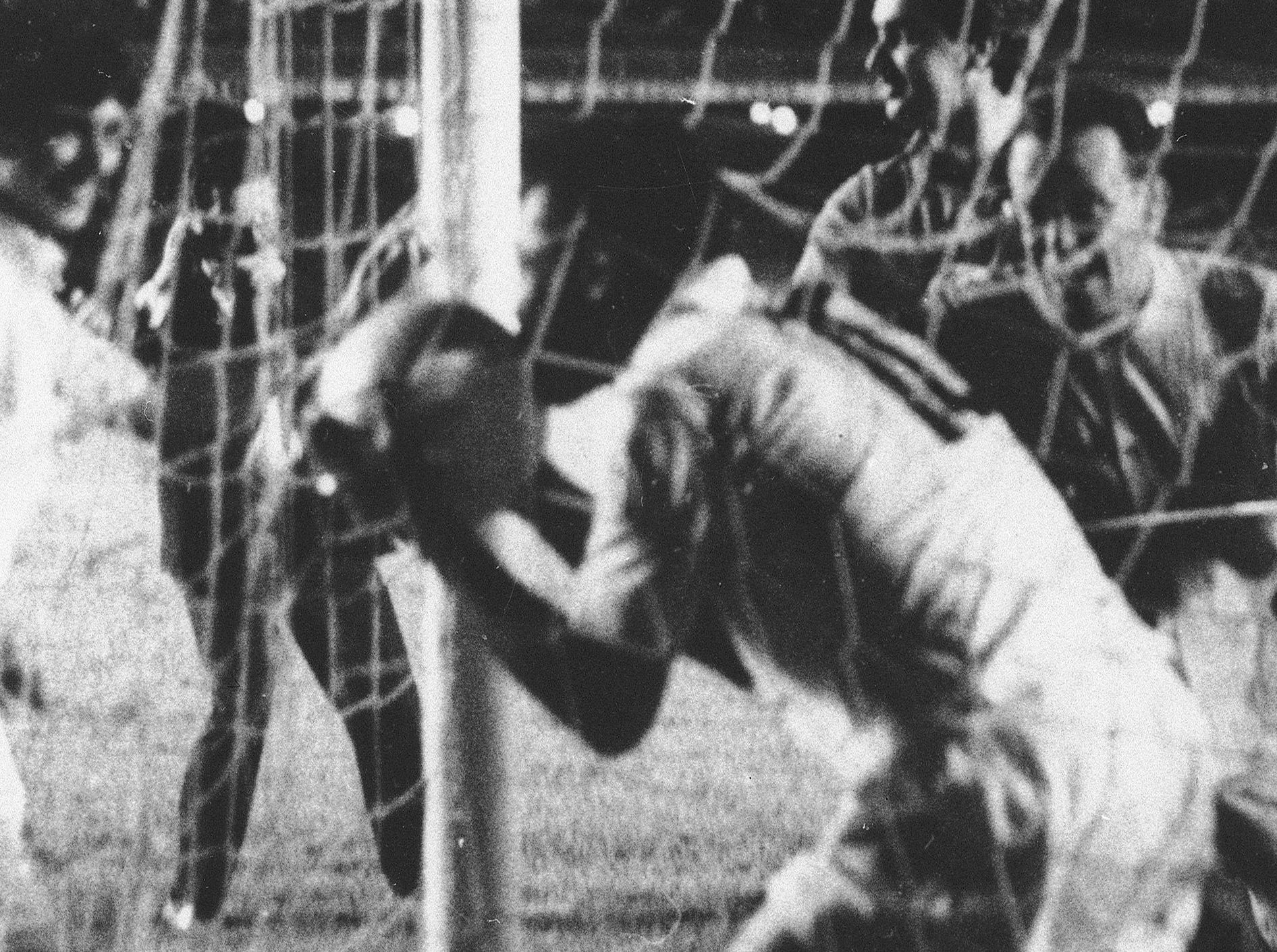 Η αποτυχία μιας μαγικής «Σελεσάο»-4