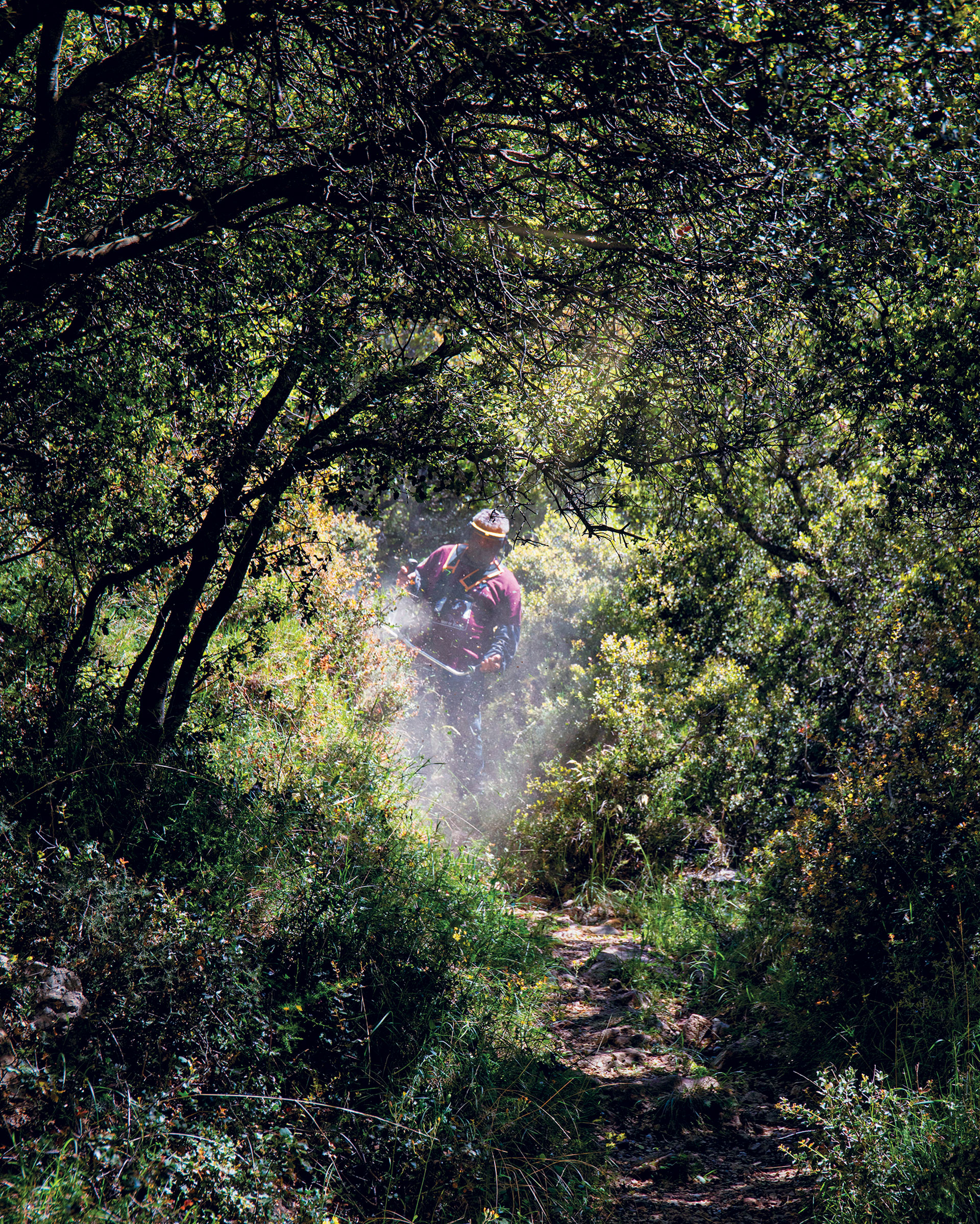 Στη Στεμνίτσα, σε ένα δίκτυο μονοπατιών διεθνών προδιαγραφών-2