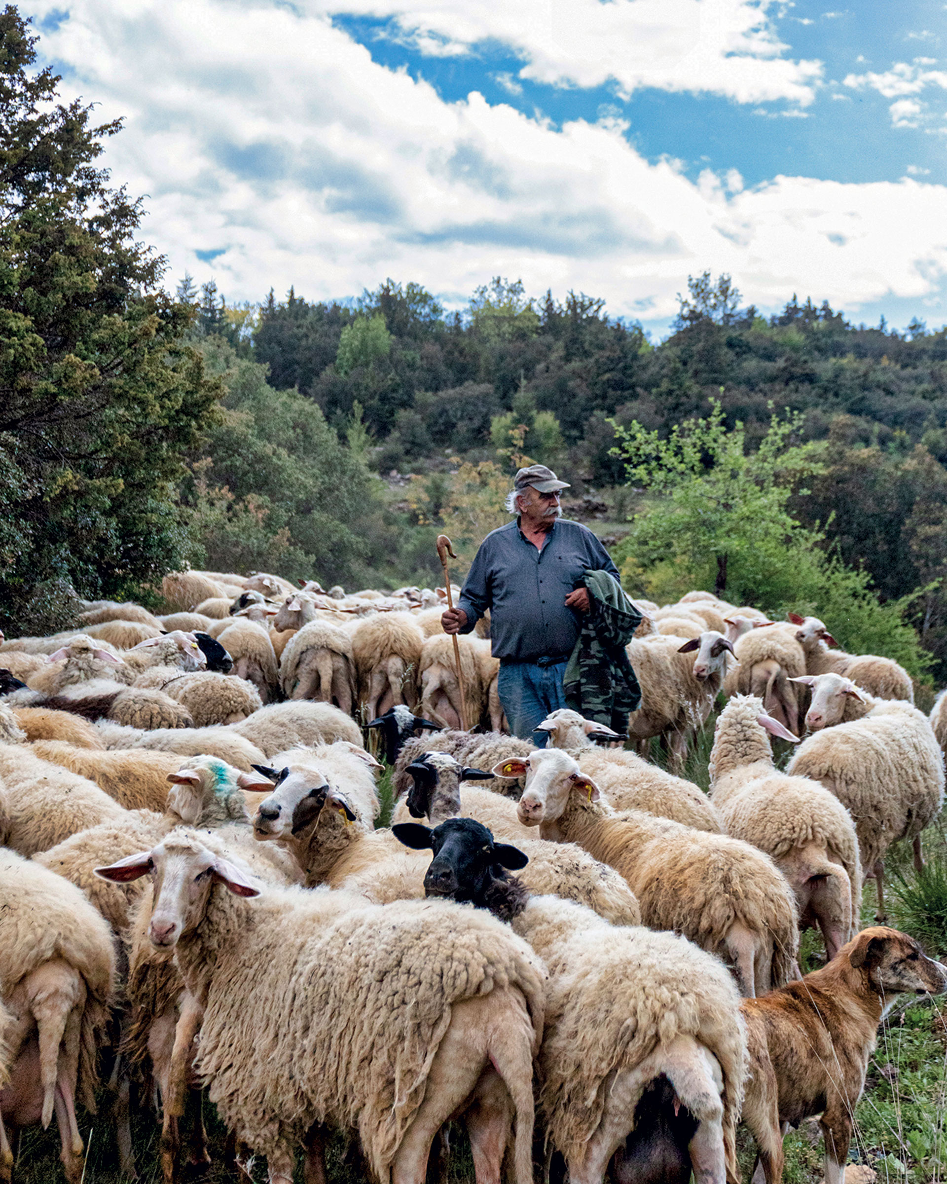 Στη Στεμνίτσα, σε ένα δίκτυο μονοπατιών διεθνών προδιαγραφών-3