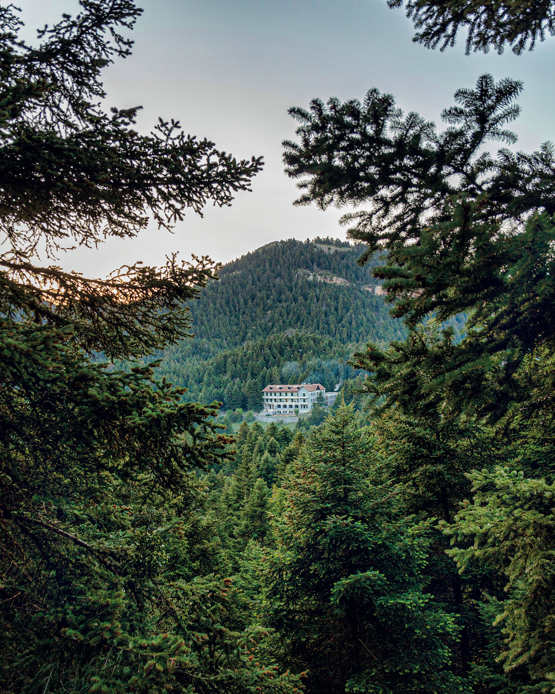 Στη Στεμνίτσα, σε ένα δίκτυο μονοπατιών διεθνών προδιαγραφών-5