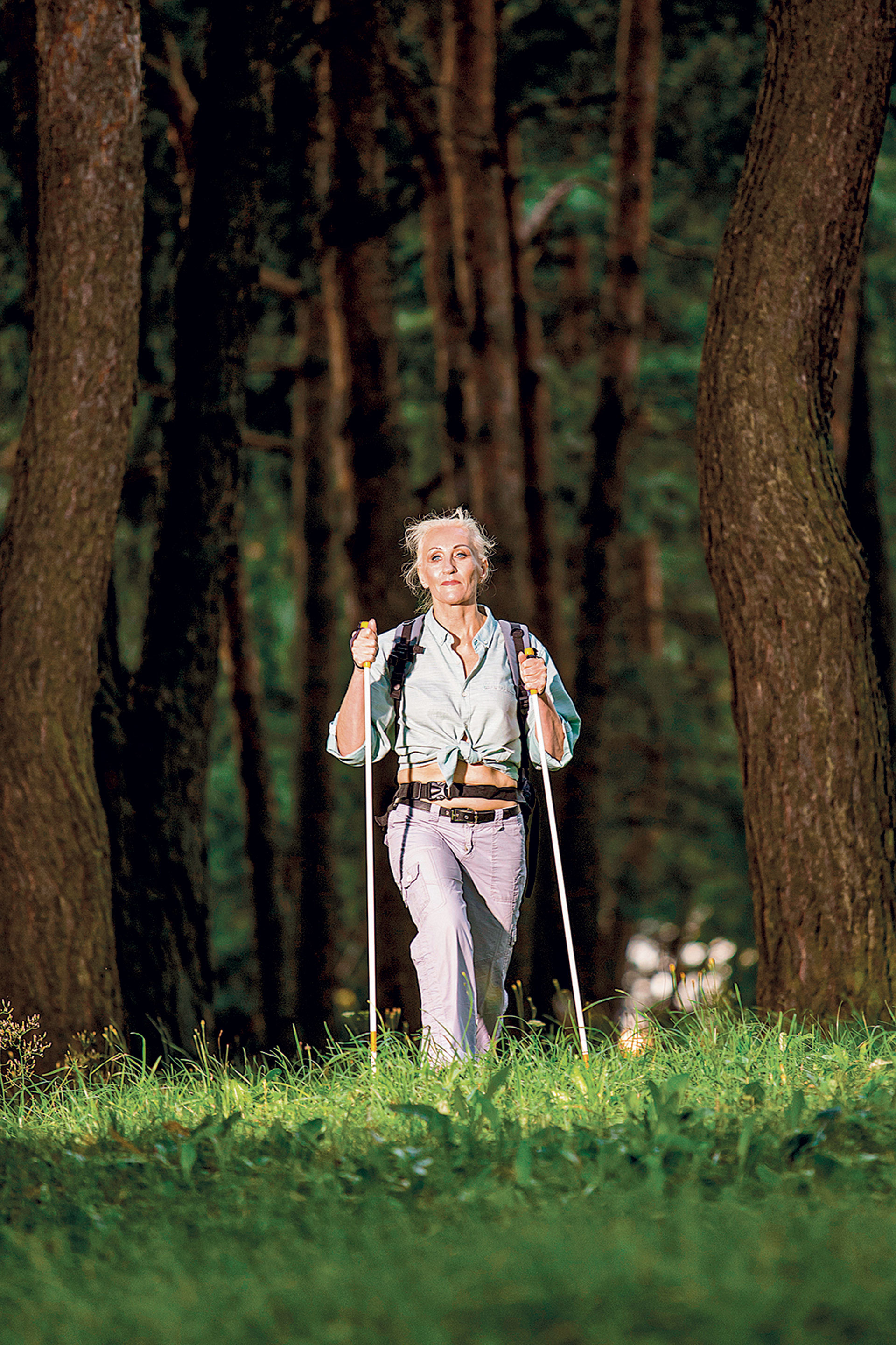 Κάντε πεζοπορία σκανδιναβικού τύπου-1