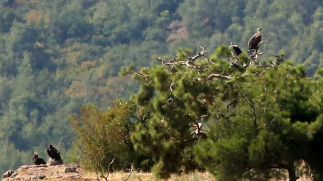 η-φύση-ξέρει-να-κλείνει-τις-πληγές-της-563093542