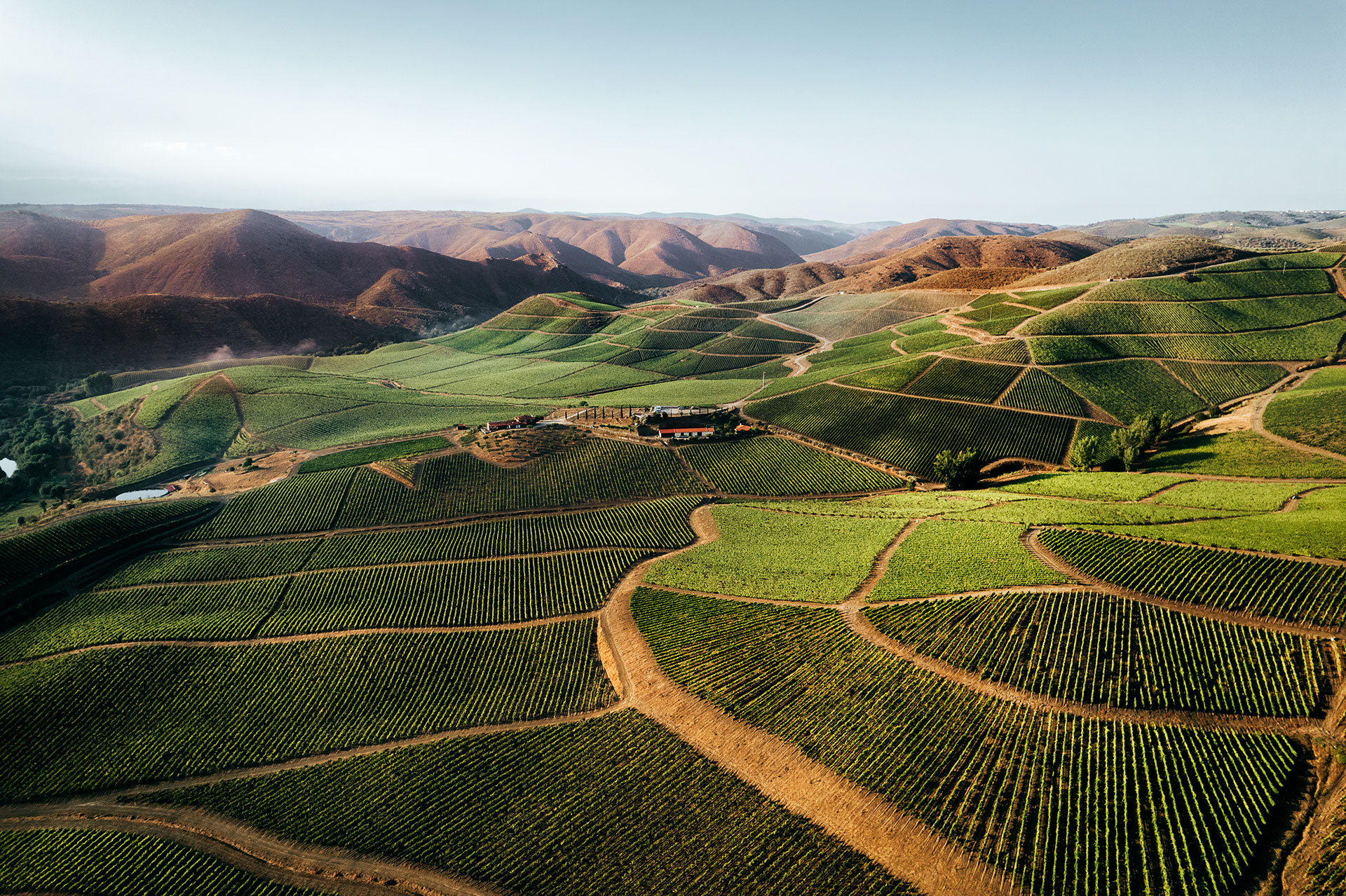 Ταξιδεύουμε στο Πόρτο για το κρασί του-1