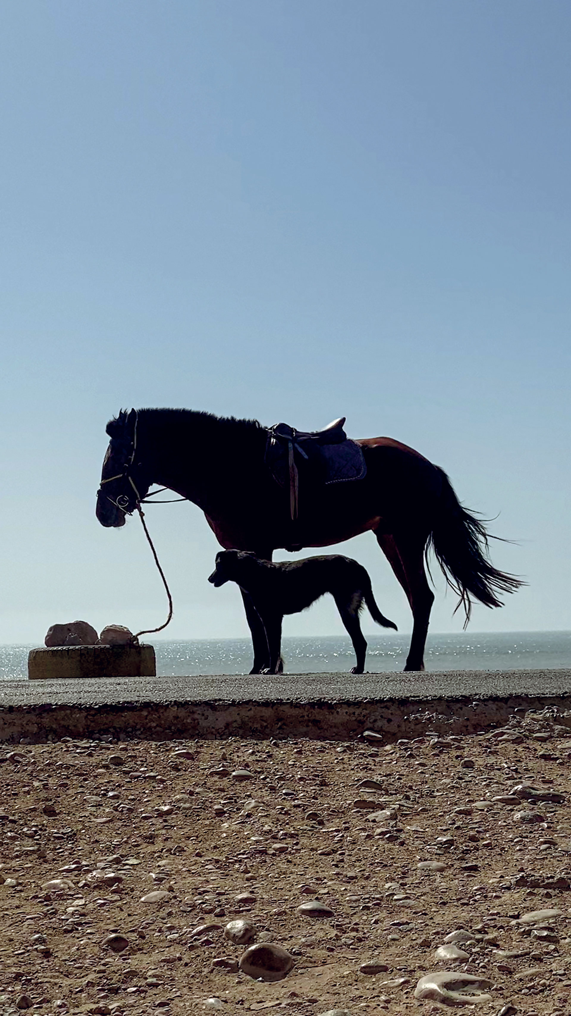 Ο φωτογράφος που «σπάει» τον αλγόριθμο του Instagram-6