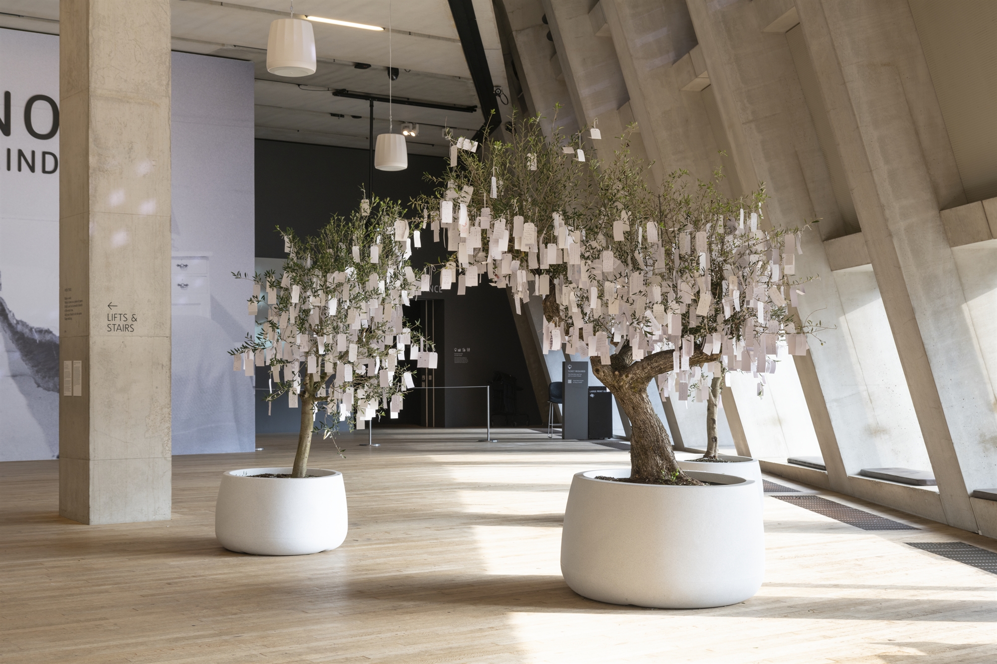 Γιόκο Ονο, μουσική του μυαλού-3