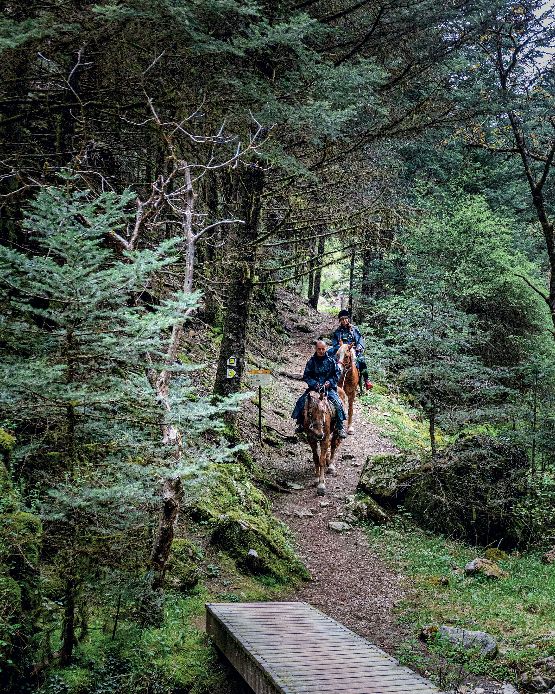 Στη Στεμνίτσα, σε ένα δίκτυο μονοπατιών διεθνών προδιαγραφών-7