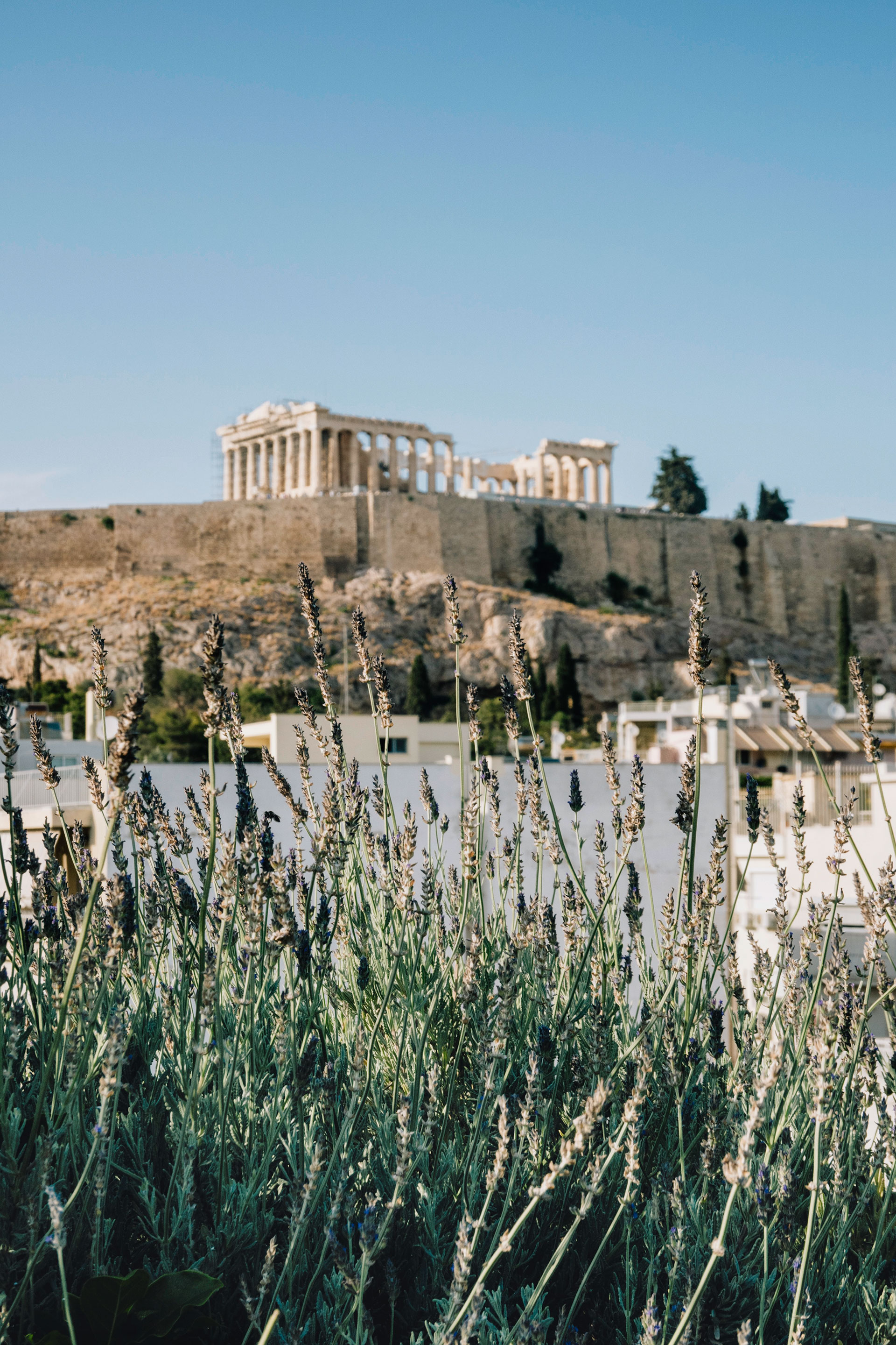 Πώς θα κάνετε πιο «πράσινα» τα μπαλκόνια σας με λίγες απλές κινήσεις-1