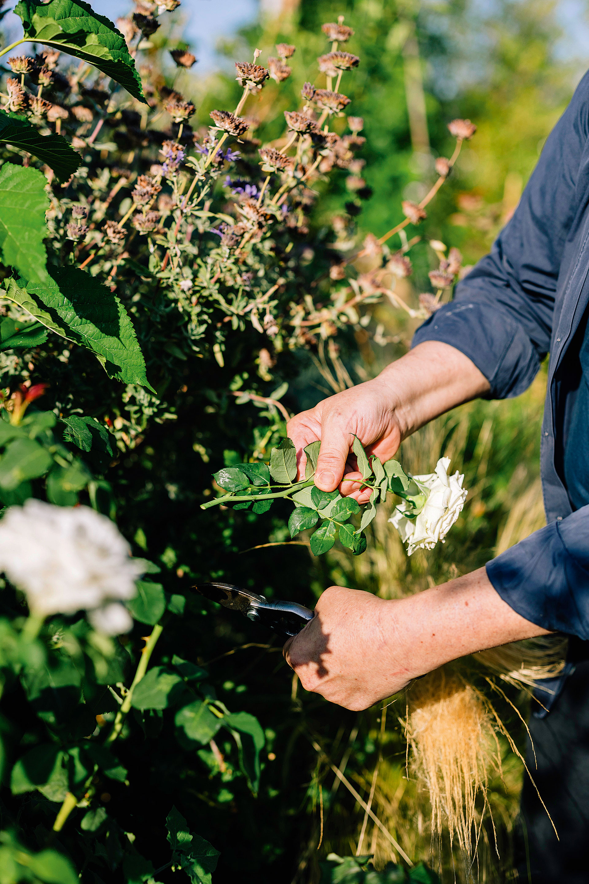 Πώς θα κάνετε πιο «πράσινα» τα μπαλκόνια σας με λίγες απλές κινήσεις-3