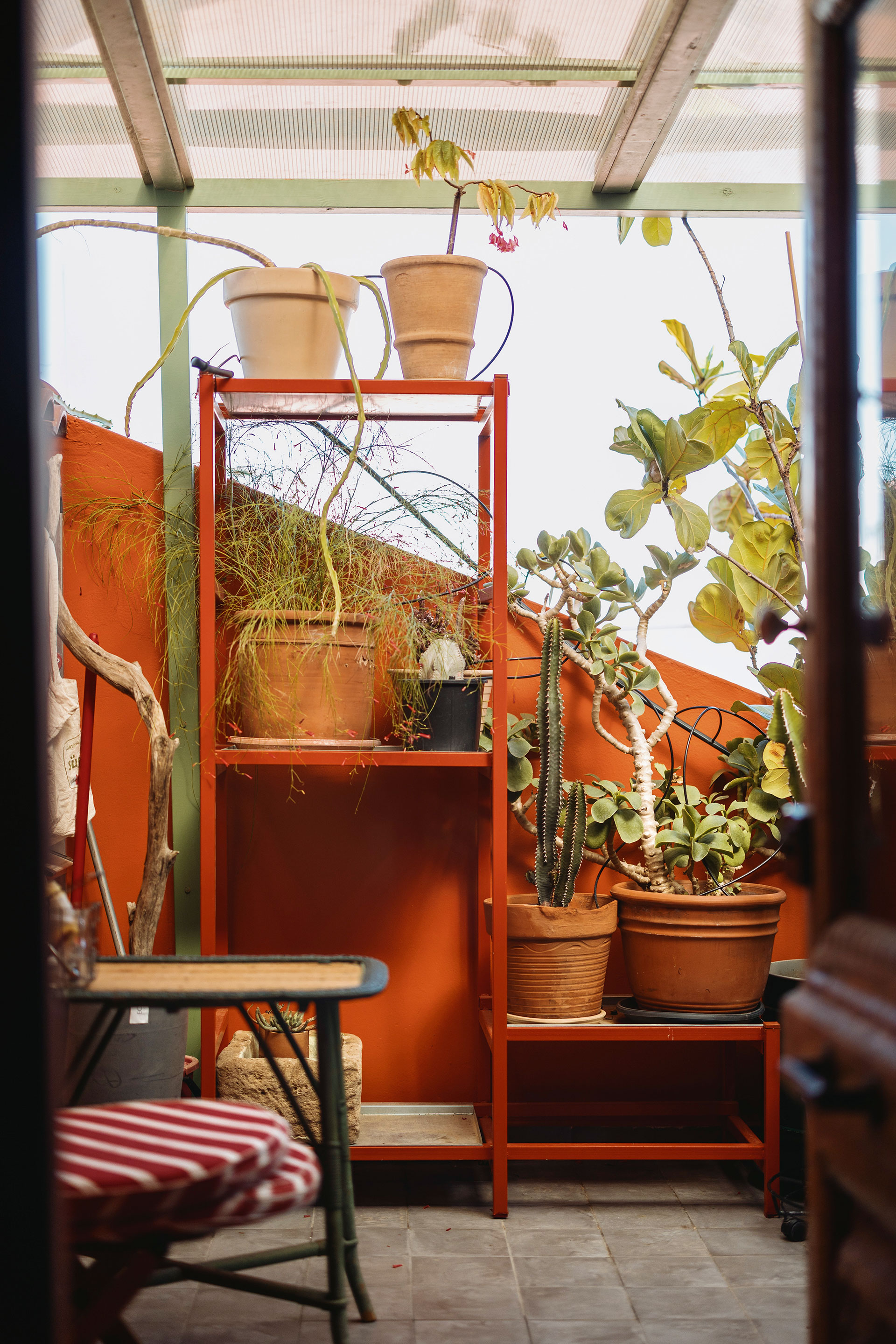 Πώς θα κάνετε πιο «πράσινα» τα μπαλκόνια σας με λίγες απλές κινήσεις-4