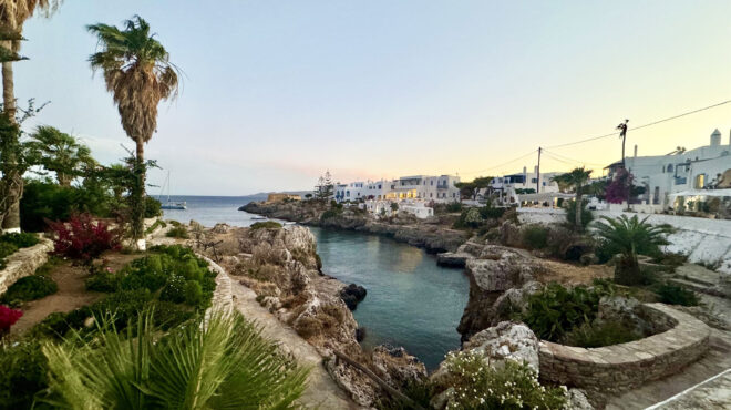 αβλέμονας-κυθήρων-κολυμπώντας-στην-α-563084749