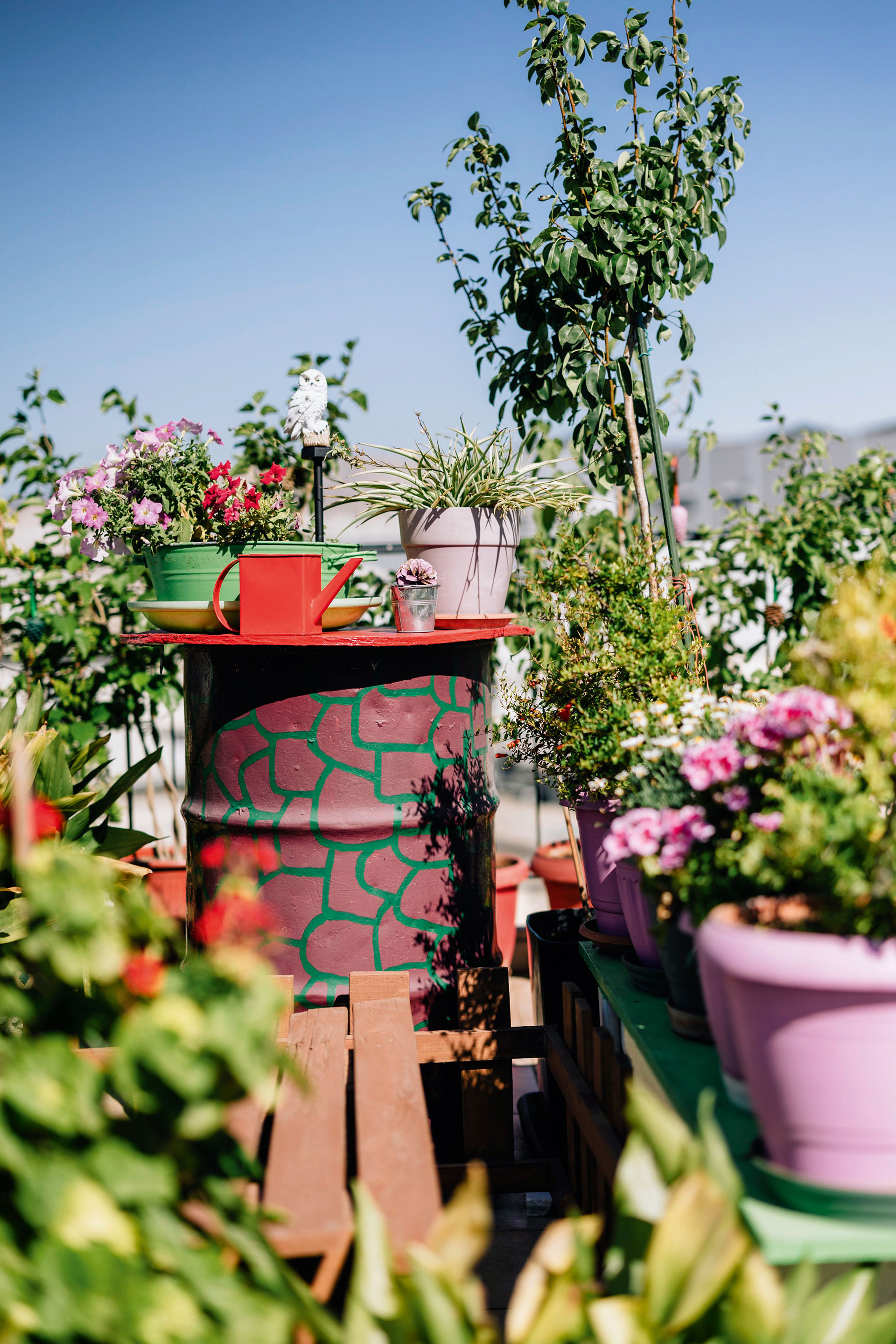 Πώς θα κάνετε πιο «πράσινα» τα μπαλκόνια σας με λίγες απλές κινήσεις-6