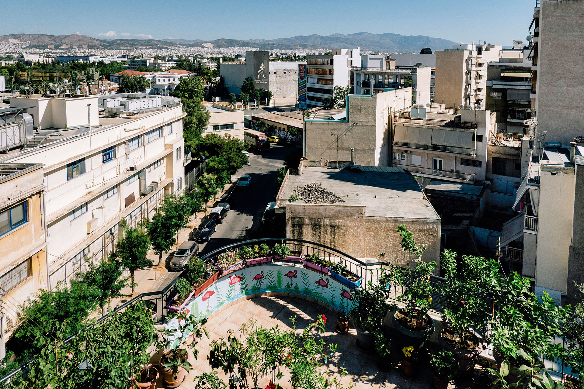 Πώς θα κάνετε πιο «πράσινα» τα μπαλκόνια σας με λίγες απλές κινήσεις-7