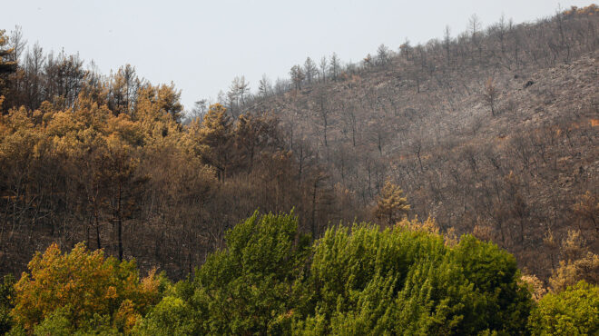 οδοιπορικό-στη-λαβωμένη-γη-του-εβρου-563086567