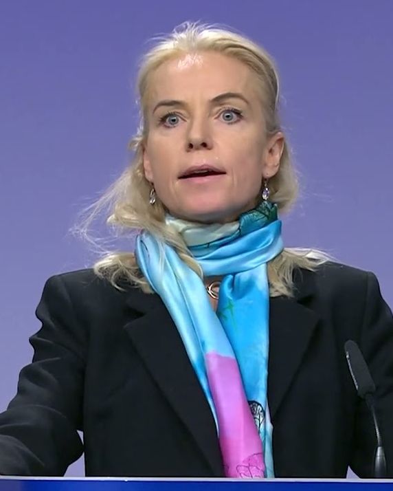 Η δύσκολη μάχη της Ε.Ε. για σπάνιες γαίες-2