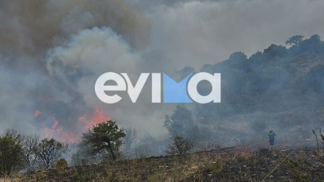 εύβοια-φωτιά-σε-αγροτοδασική-έκταση-563063671