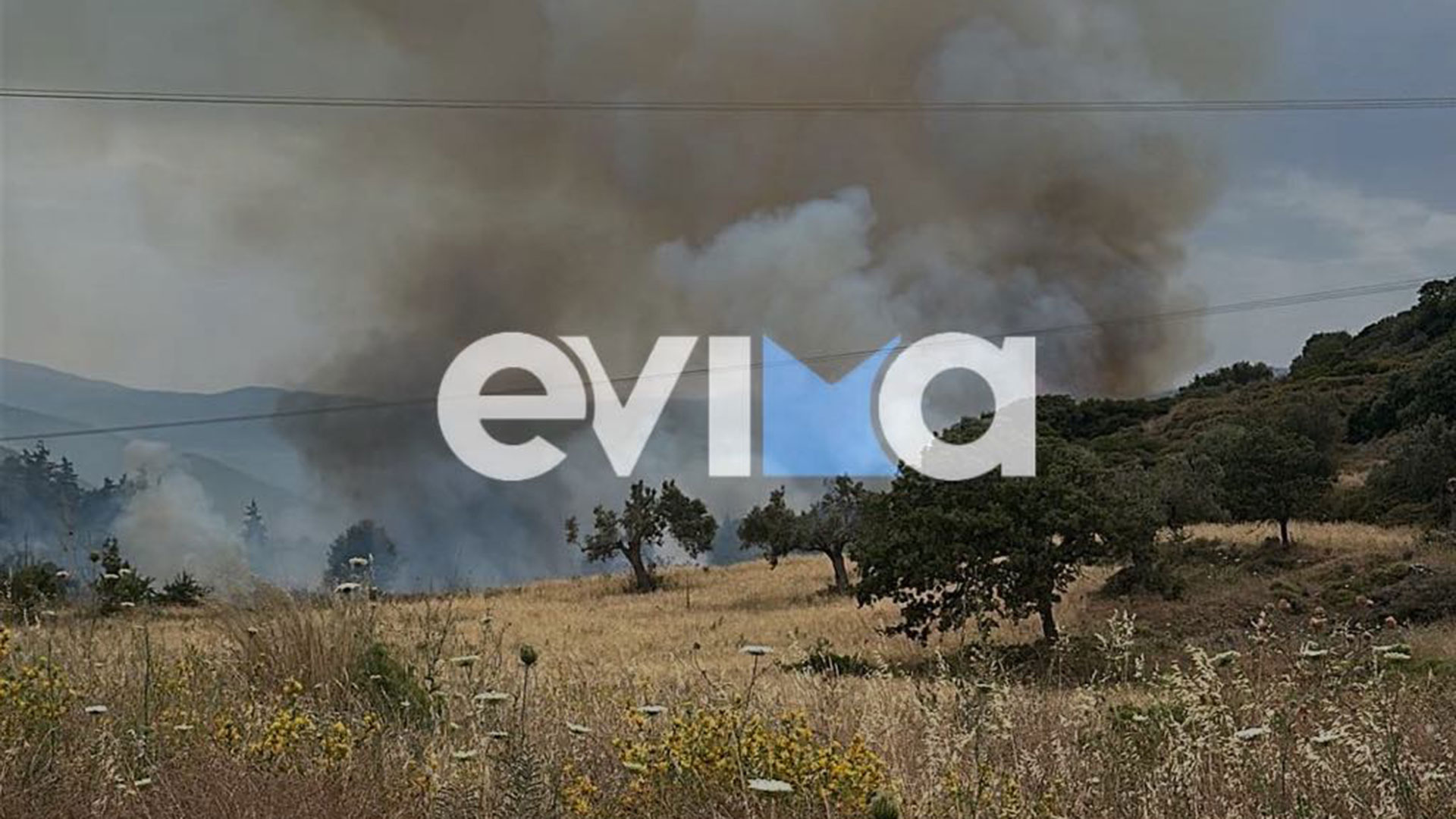Εύβοια: Φωτιά σε αγροτοδασική έκταση – Μήνυμα από το 112-1