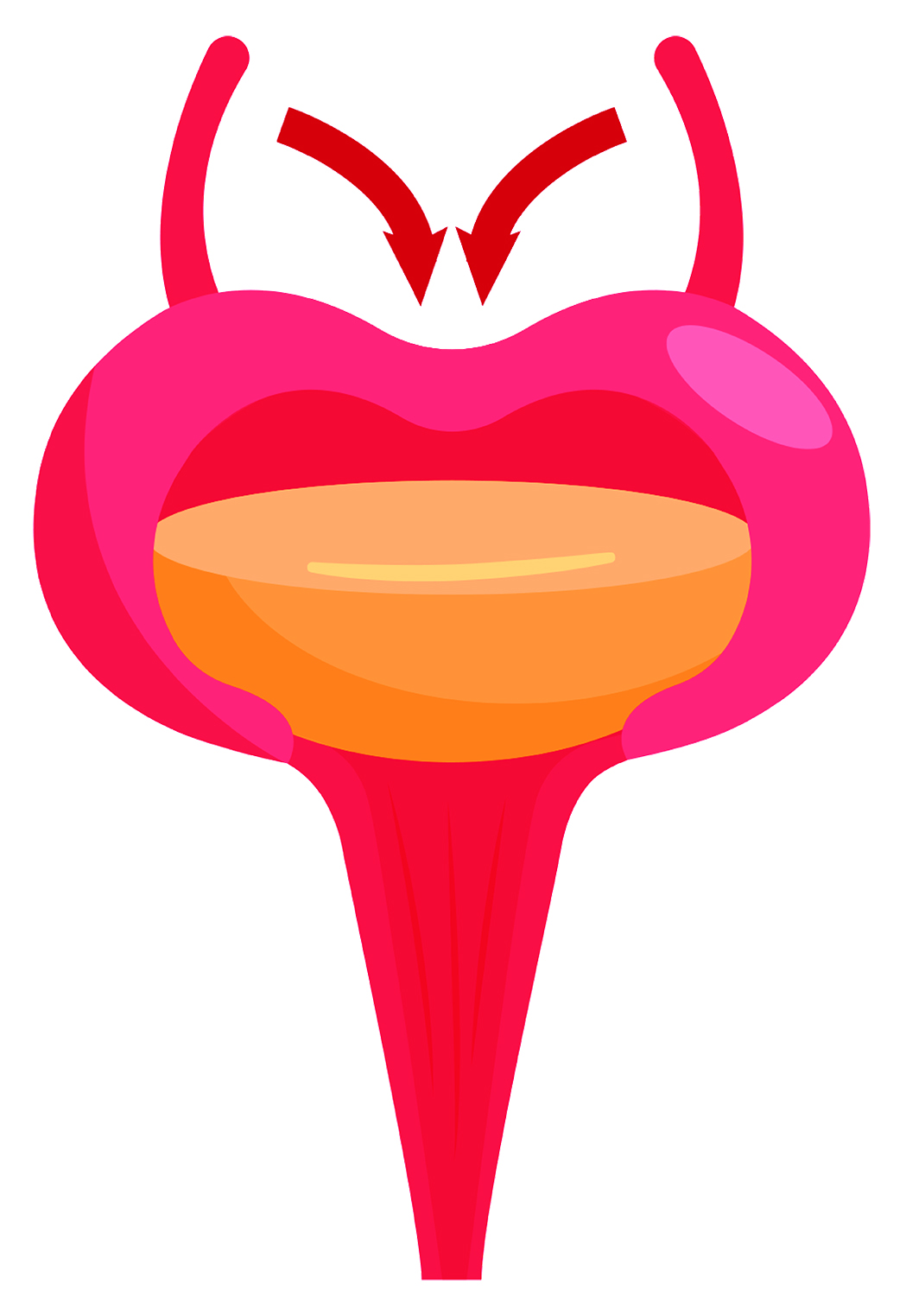 Ταξιδιωτικές συμβουλές για άτομα με ακράτεια-2