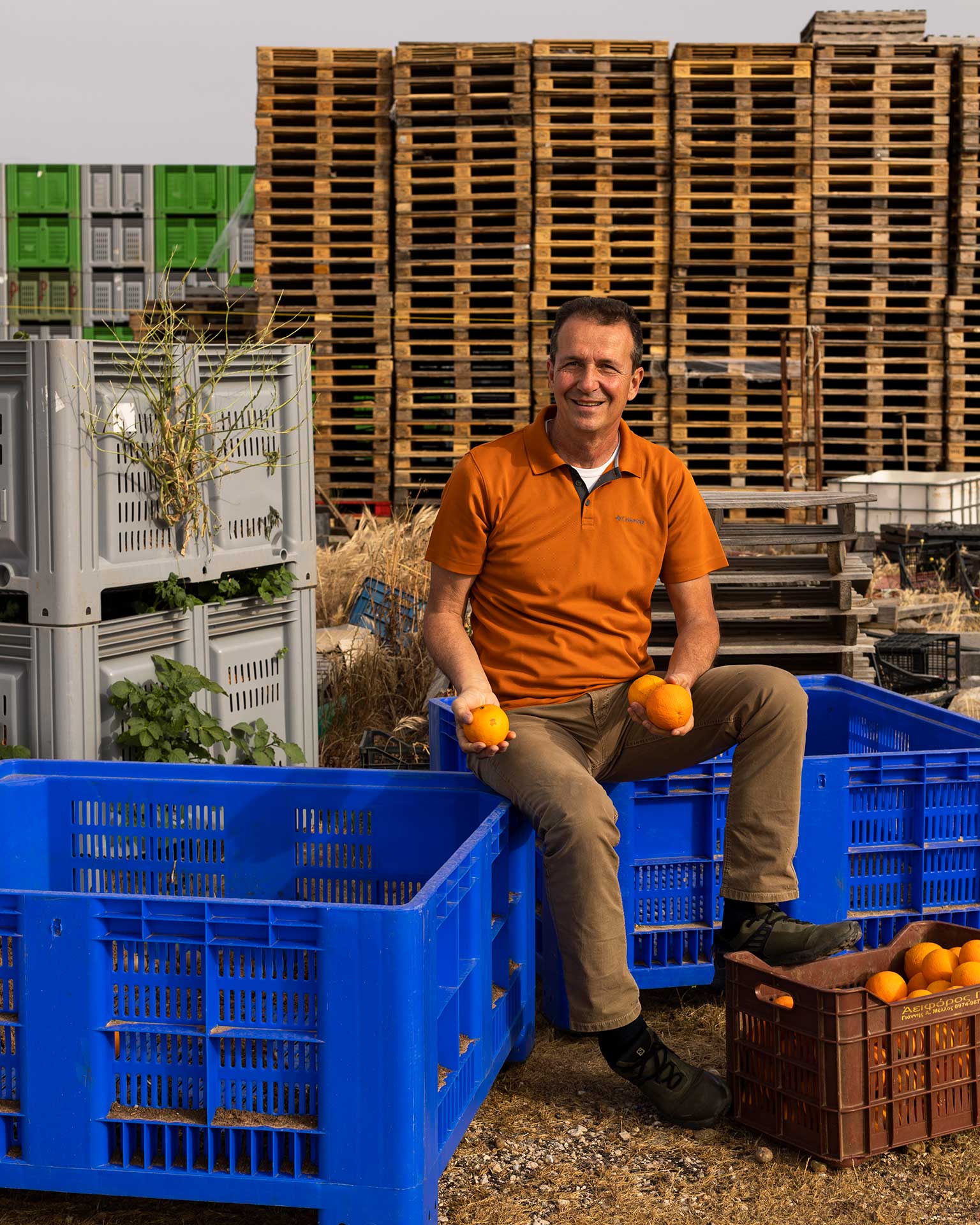 Γιάννη Μέλλο, πώς επηρεάζει η κλιματική κρίση τα φρούτα και τα λαχανικά που αγοράζουμε;-3