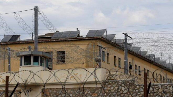 κορυδαλλός-αγρια-συμπλοκή-με-έναν-νεκ-563096299