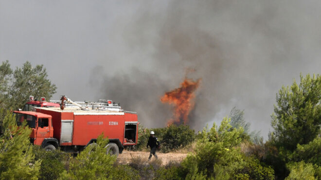 ρέθυμνο-δασική-πυρκαγιά-στα-κάτω-σακτ-563100187