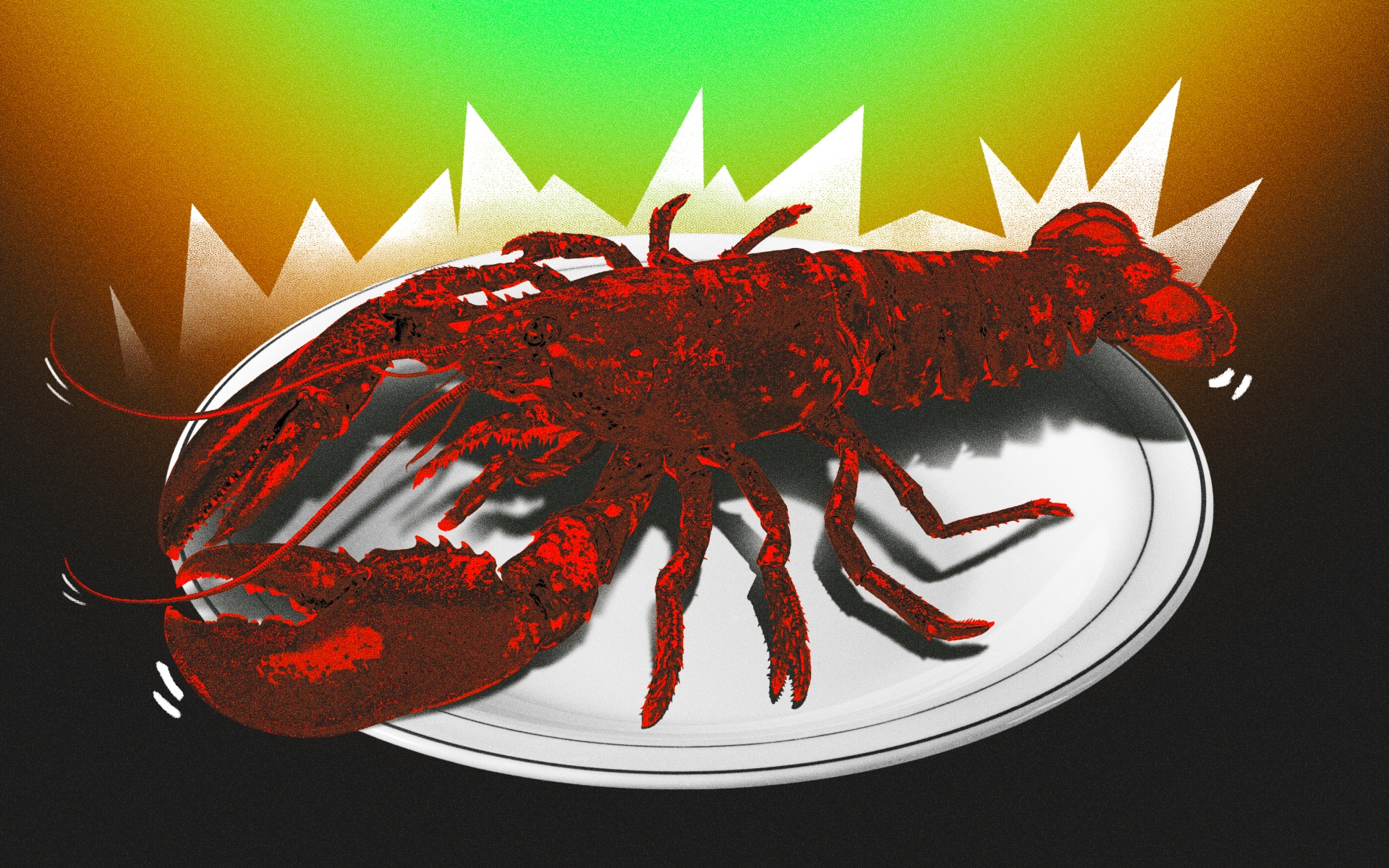 «Κατεψυγμένες» ζωντανές καραβίδες και «ιπτάμενες» σαμπανιέρες-4