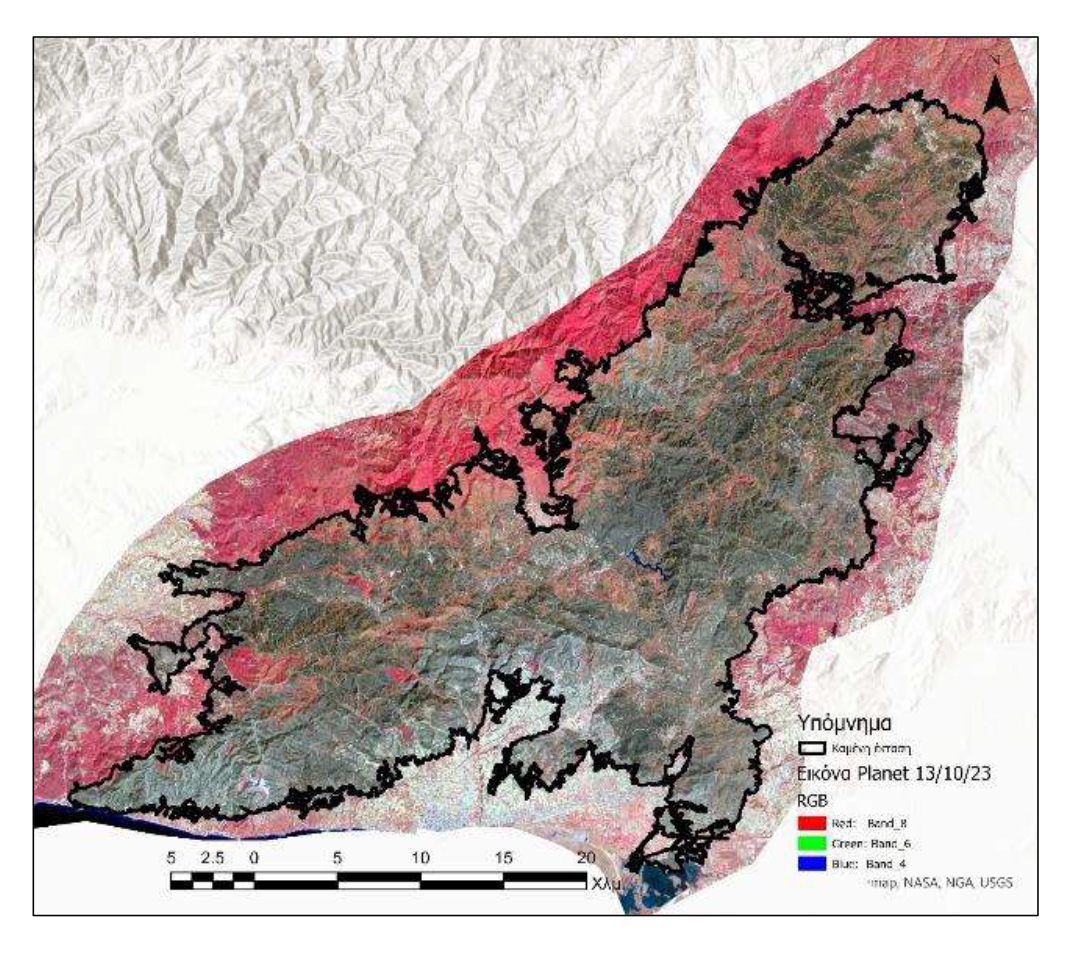 Στην εντατική για πέντε χρόνια το δάσος της Δαδιάς-1
