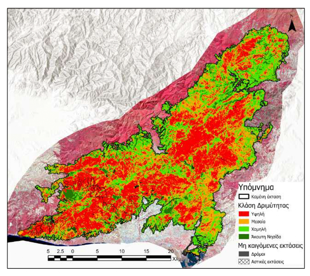 Στην εντατική για πέντε χρόνια το δάσος της Δαδιάς-2