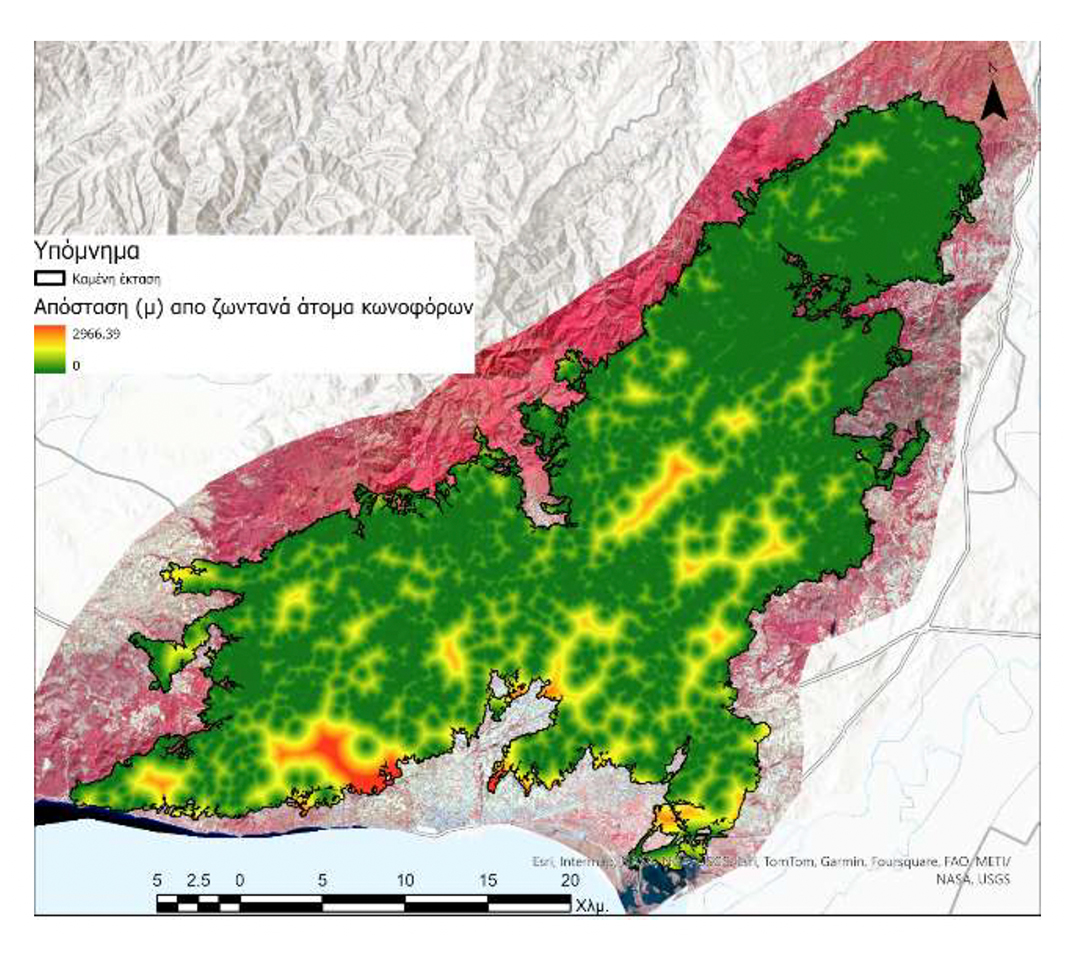Στην εντατική για πέντε χρόνια το δάσος της Δαδιάς-4