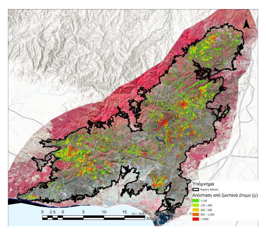 Στην εντατική για πέντε χρόνια το δάσος της Δαδιάς-5
