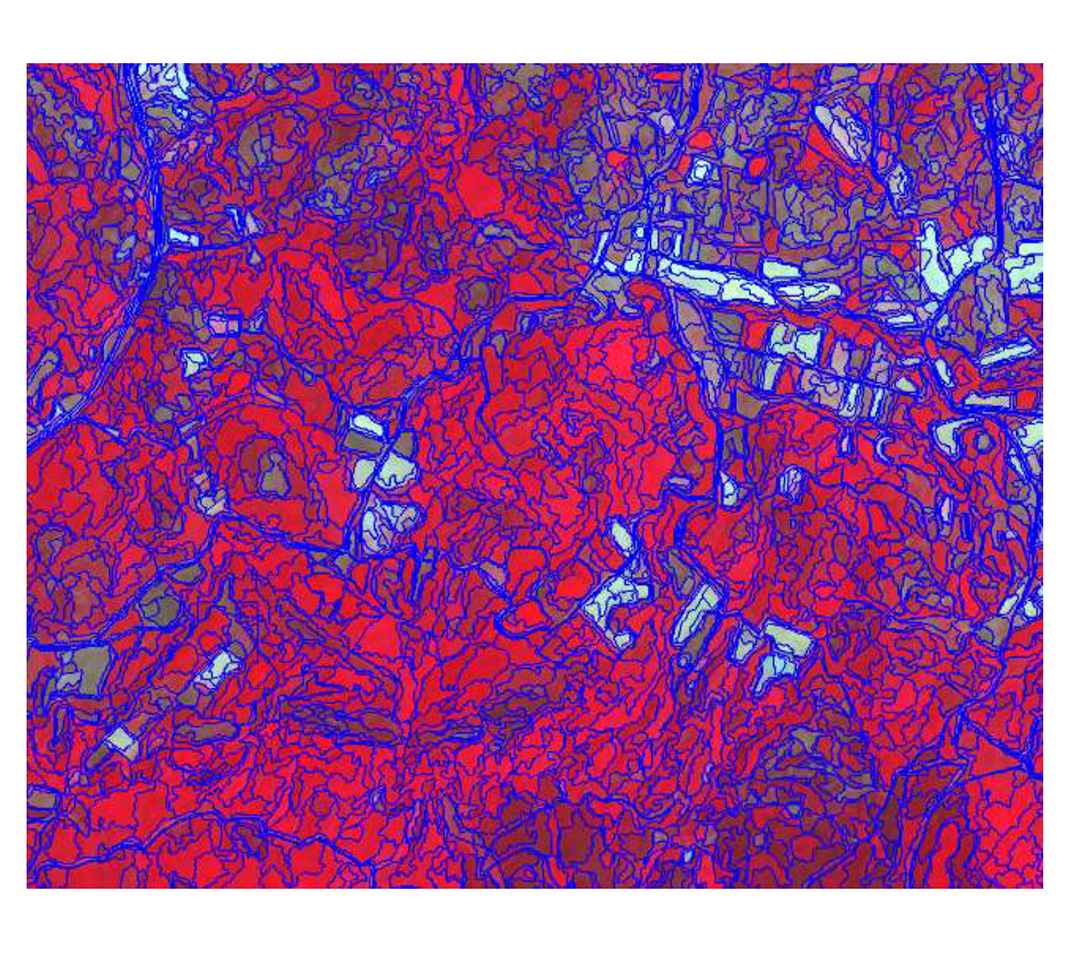 Στην εντατική για πέντε χρόνια το δάσος της Δαδιάς-6