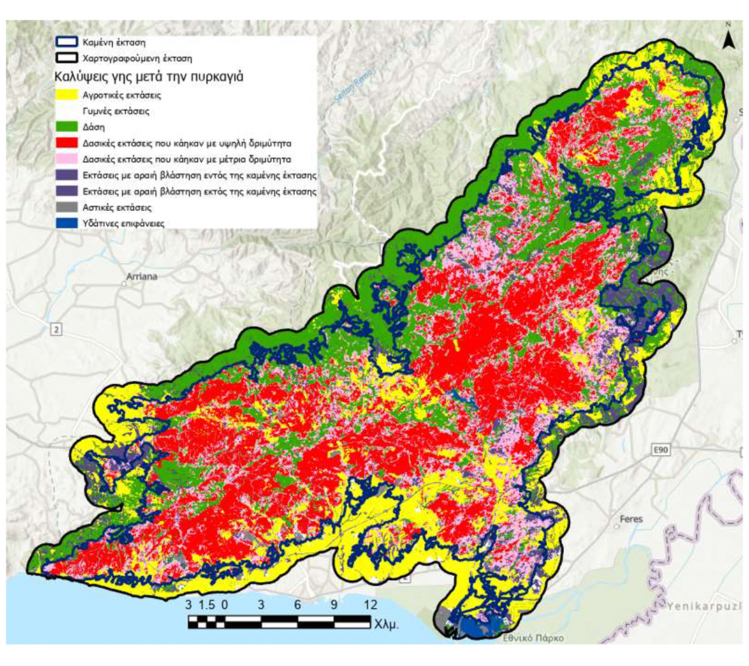 Στην εντατική για πέντε χρόνια το δάσος της Δαδιάς-8