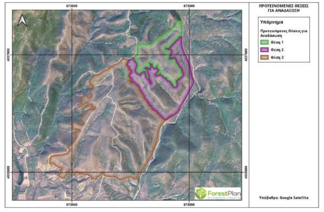 Στην εντατική για πέντε χρόνια το δάσος της Δαδιάς-9