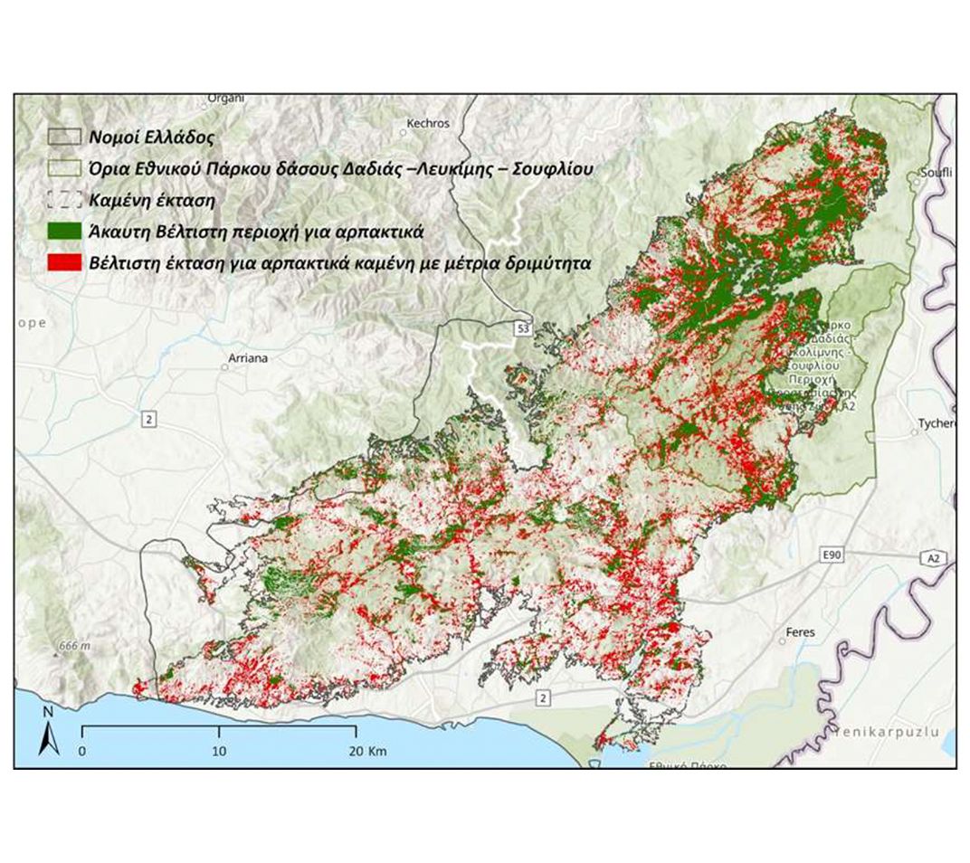 Στην εντατική για πέντε χρόνια το δάσος της Δαδιάς-10