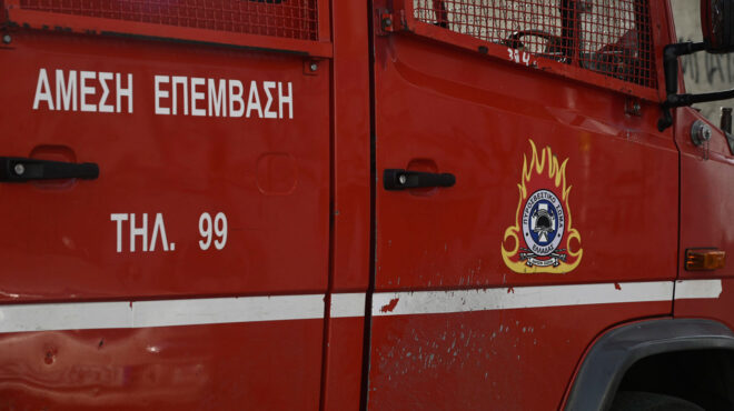 πήλιο-σε-80χρονη-από-την-αυστρία-ανήκει-563055844