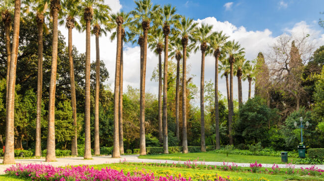 κλειστός-ο-εθνικός-κήπος-και-απαγόρευ-563090917