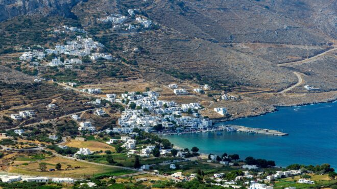 αμοργός-εξαφάνιση-αμερικανού-τουρί-563074930