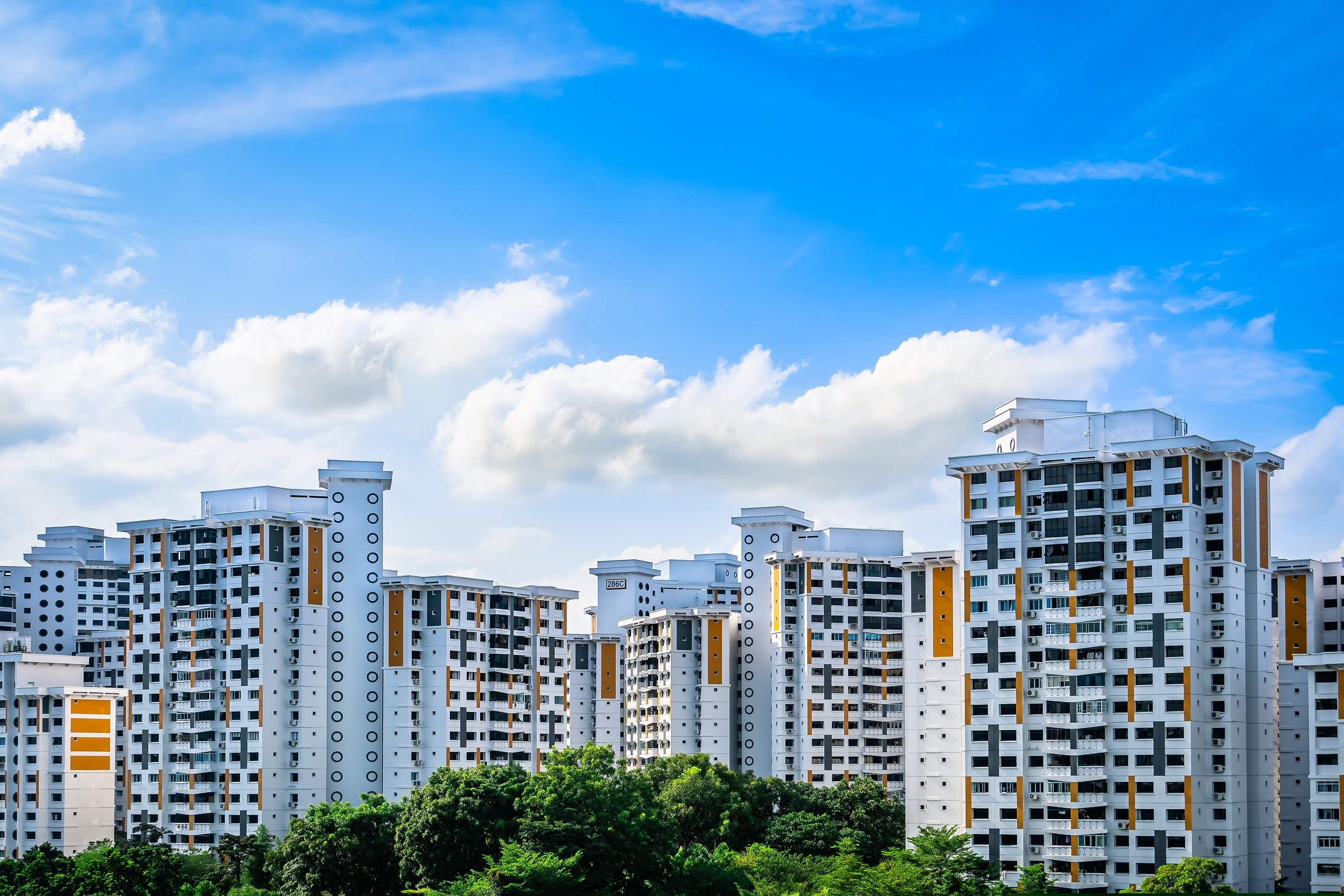 Οι γάτες απαγορεύονταν στα διαμερίσματα της Σιγκαπούρης – Δεκαετίες μετά βγαίνουν από την… παρανομία-1