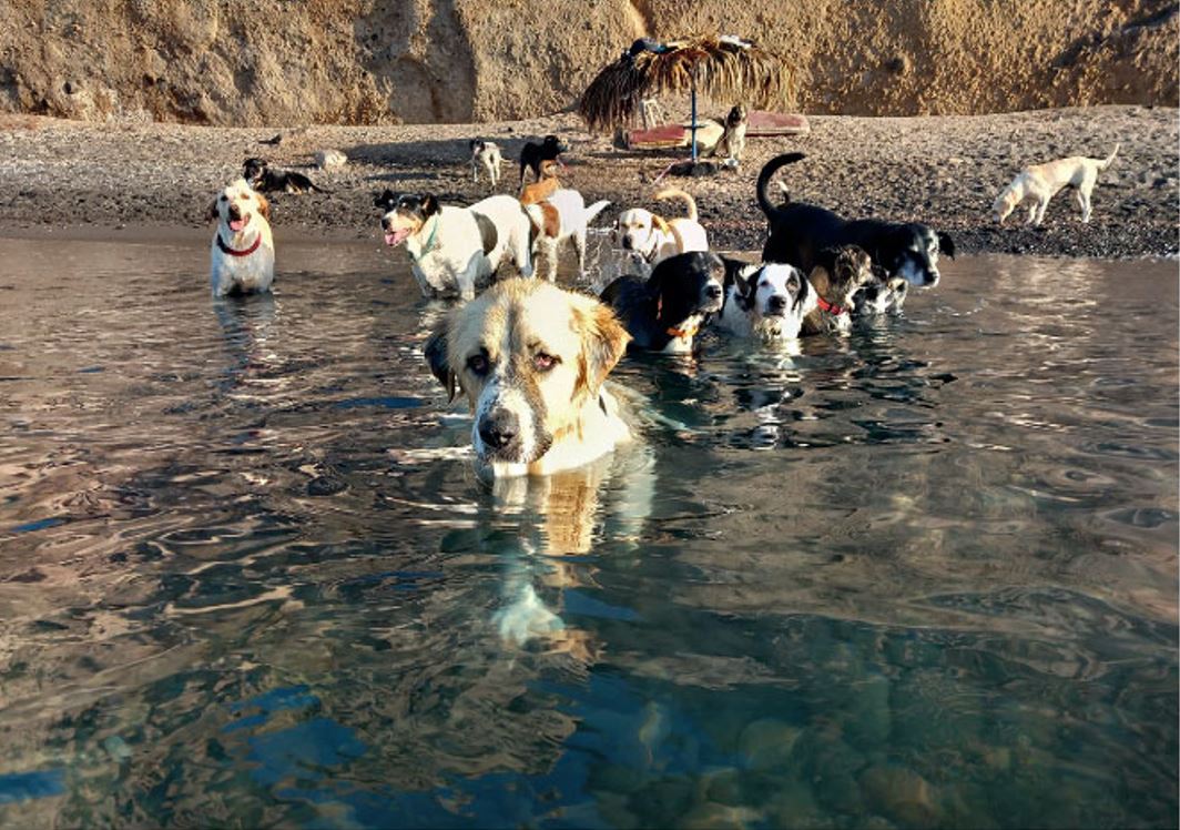 Διαβάστε στην «Καθημερινή της Κυριακής»-3