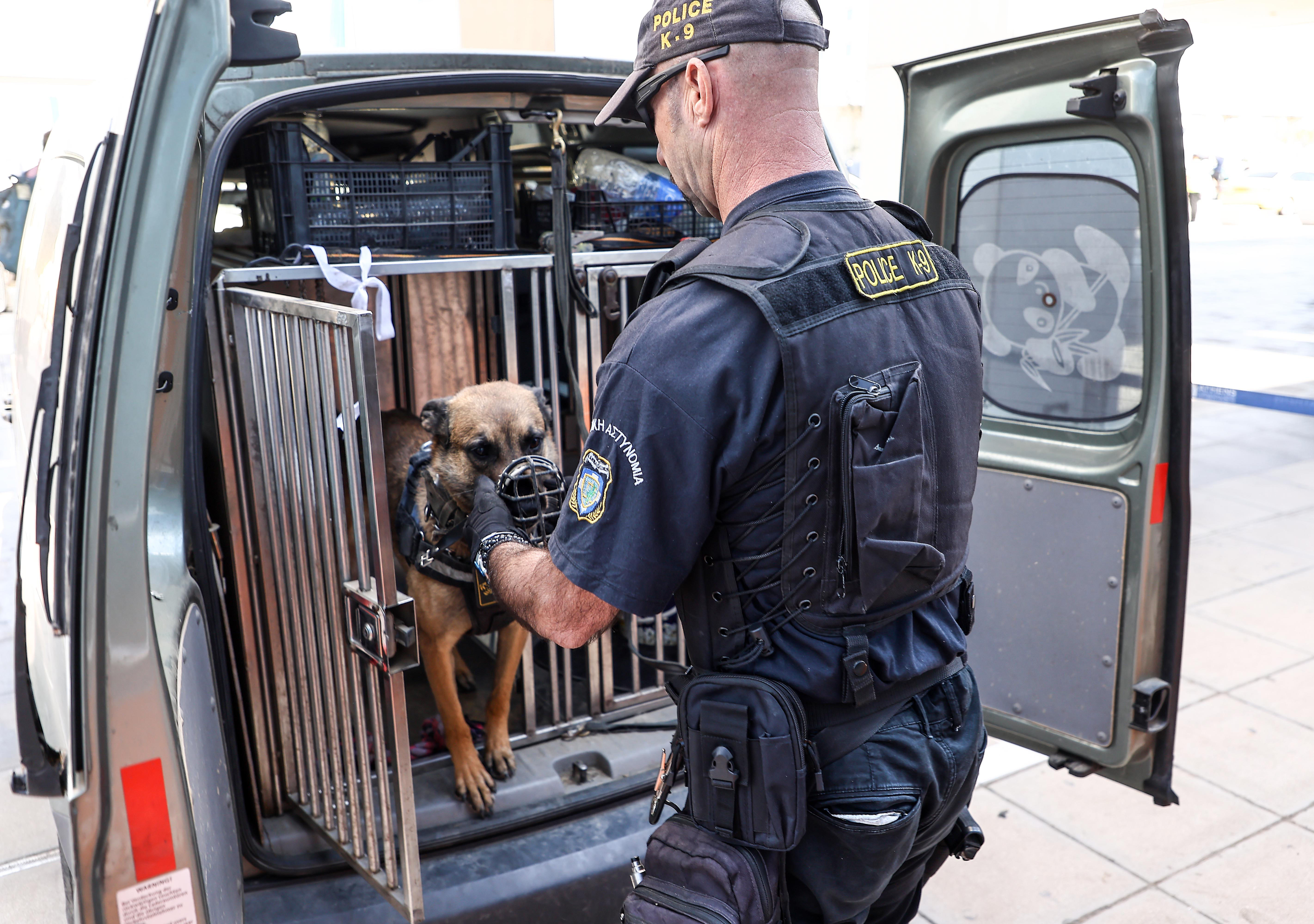 Οι τετράποδοι ντετέκτιβ λύνουν δύσκολους γρίφους-3