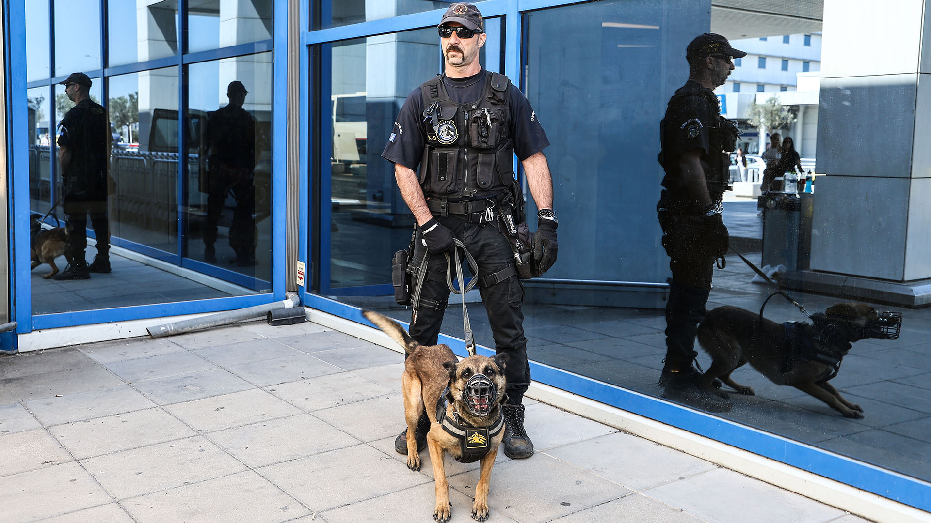 Οι τετράποδοι ντετέκτιβ λύνουν δύσκολους γρίφους-7