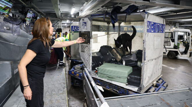 οι-τετράποδοι-ντετέκτιβ-λύνουν-δύσκο-563061451