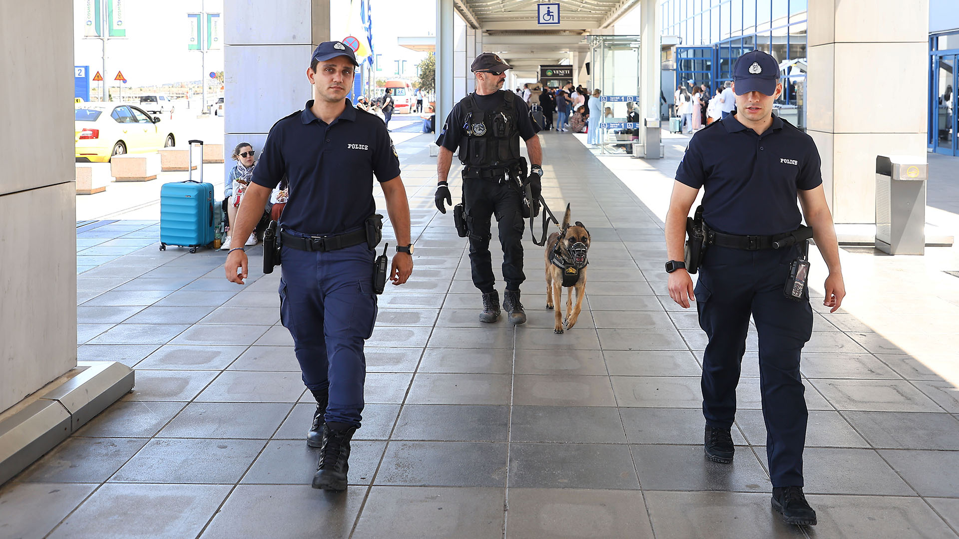 Οι τετράποδοι ντετέκτιβ λύνουν δύσκολους γρίφους-2
