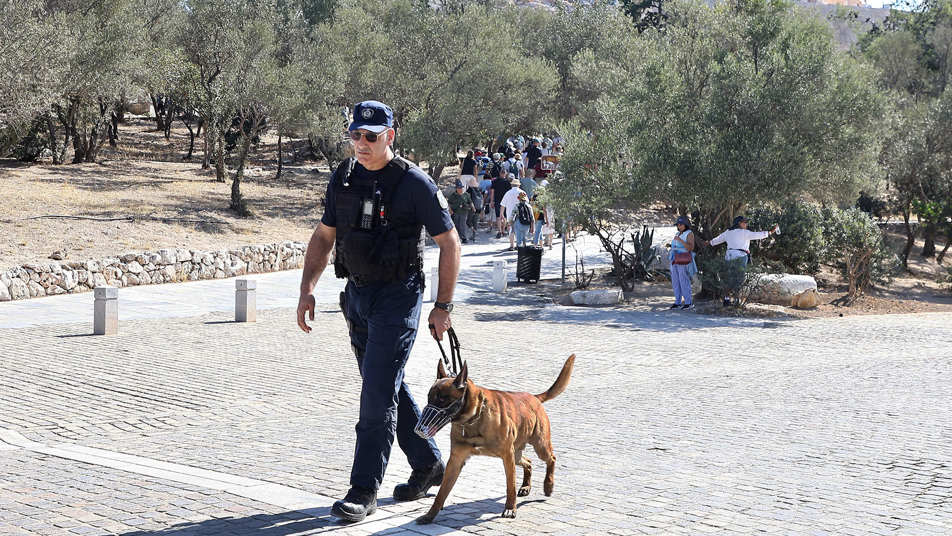 Οι τετράποδοι ντετέκτιβ λύνουν δύσκολους γρίφους-1