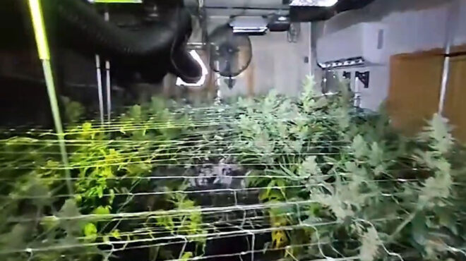 σπείρα-με-υδροπονική-καλλιέργεια-κάν-563077807