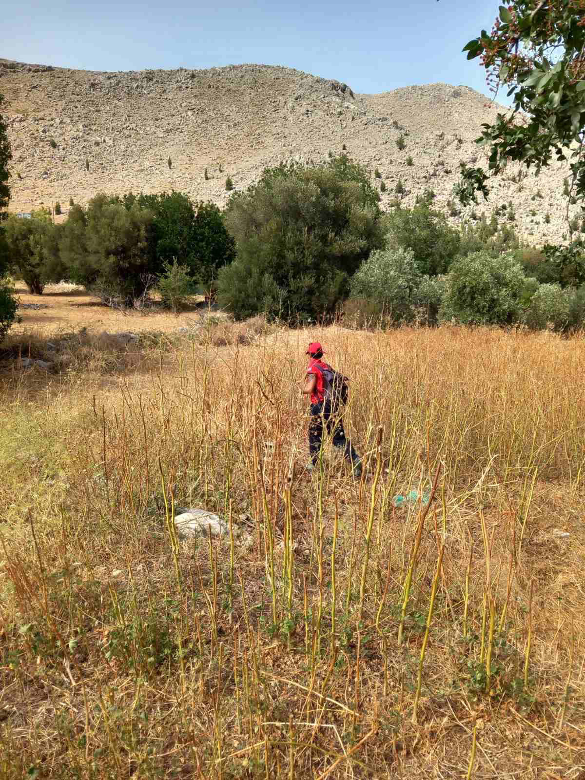 Μάικλ Μόσλεϊ: Ο τηλεοπτικός γιατρός που περιφρονούσε το χρήμα και λάτρευε την περιπέτεια-5
